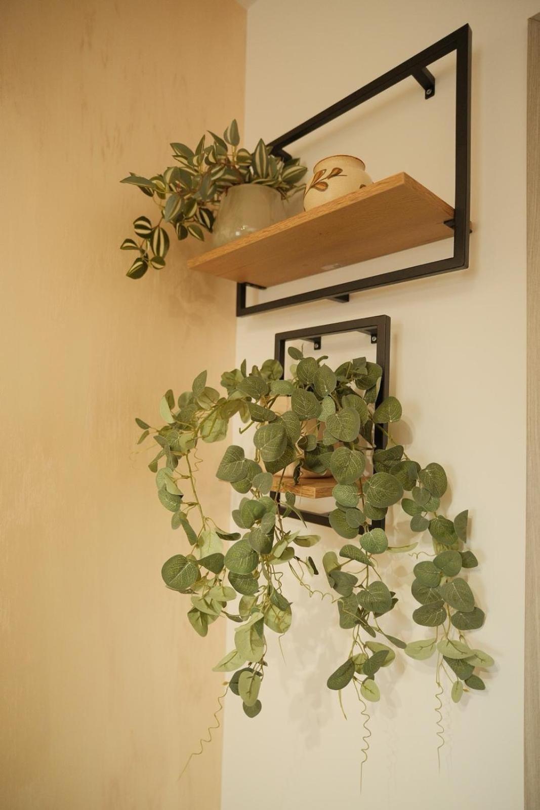 Green Studio Târgu Neamț Exteriör bild